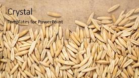  Presentation with chemistry organic trial - Colorful presentation design enhanced with groats against textured bark paper backdrop and a coral colored foreground