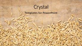  Presentation with organic - Beautiful presentation featuring groats against textured bark paper backdrop and a coral colored foreground