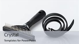  Presentation with grooming dog - Amazing slides having personal protection items - grooming brush and antibacterial dog backdrop and a light gray colored foreground