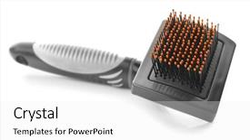  Presentation with pets - Cool new presentation theme with grooming brush for pets backdrop and a white colored foreground