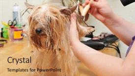  Presentation with cut - Presentation theme featuring modern interior composition with pictures on wall background and a light gray colored foreground