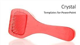  Presentation with animals - Theme with  background and a  colored foreground