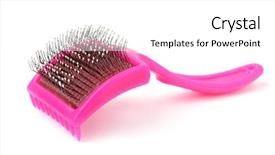  Presentation with animals - Cool new PPT theme with cat dog beautiful red haired - comb for the animals backdrop and a white colored foreground