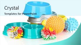  Presentation with pet - Slide set with  background and a  colored foreground