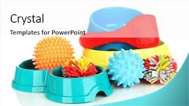  Presentation with pet - Audience pleasing presentation theme consisting of bowl assorted dog bone - pet accessories isolated on white backdrop and a white colored foreground