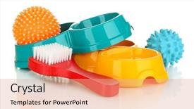  Presentation with pet - Amazing presentation theme having christmas tree toys and balls backdrop and a  colored foreground.