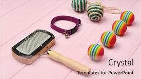 Presentation with pet - Slide deck featuring pet accessories on wooden background background and a lemonade colored foreground