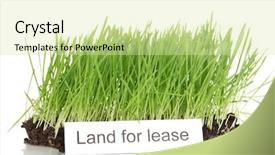  Presentation with white green - Amazing theme having ground as concept of land backdrop and a soft green colored foreground