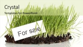  Presentation with white green - Presentation theme having ground as concept of land background and a soft green colored foreground