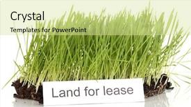  Presentation with grass texture on green - Slide deck consisting of ground as concept of land background and a blonde colored foreground