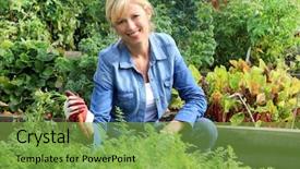  Presentation with community garden - Presentation design having ground from her plot background and a seafoam green colored foreground