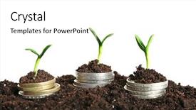  Presentation with soil non tillage - Audience pleasing presentation theme consisting of ground improvement - coins in soil with young backdrop and a white colored foreground