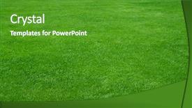  Presentation with improvement - Presentation having ground improvement - grass field background and a tawny brown colored foreground