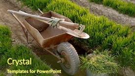  Presentation with wheat growing - Cool new PPT layouts with ground improvement - old wheelbarrow with garden tools backdrop and a tawny brown colored foreground