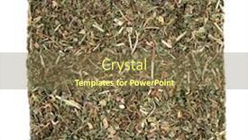  Presentation with antiseptic - Beautiful PPT layouts featuring ground-ivy-herb-leaf-used backdrop and a tawny brown colored foreground