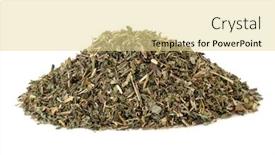  Presentation with antiseptic - Theme consisting of ground-ivy-herb-used background and a blonde colored foreground