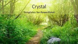  Presentation with forest road green - Cool new PPT theme with ground road in summer green forest backdrop and a yellow colored foreground