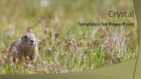  Presentation with monuments - PPT theme having ground-squirrel-colony-national-natural background and a  colored foreground