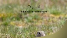  Presentation with monuments - Slide deck having ground-squirrel-colony-national-natural background and a  colored foreground