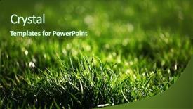  Presentation with ground water - Slide deck consisting of ground water - green grass macro background and a tawny brown colored foreground