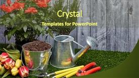  Presentation with soil - Amazing presentation having ground water - still life with gardening tools backdrop and a tawny brown colored foreground