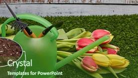  Presentation with green life - Beautiful slide set featuring ground water - still life with gardening tools backdrop and a forest green colored foreground