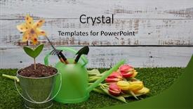  Presentation with green life - Presentation design with ground water - still life with gardening tools background and a light gray colored foreground