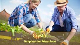  Presentation with seedling - Slides enhanced with ground work - image of couple of farmers background and a tawny brown colored foreground