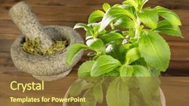  Presentation with mortar - PPT theme enhanced with ground zero - fresh potted stevia plant background and a  colored foreground