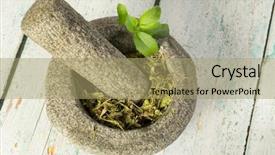  Presentation with sugar - Colorful PPT theme enhanced with ground zero - healthy sugar substitute dried stevia backdrop and a mint green colored foreground