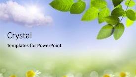  Presentation with spring nature grass - Colorful presentation design enhanced with groundsback - spring or summer season abstract backdrop and a light blue colored foreground