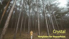  Presentation with forest - Slide deck enhanced with groundsback - woman hiker standing in forest background and a tawny brown colored foreground