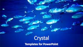  Presentation with blue water - Cool new presentation theme with group coral fish in blue backdrop and a  colored foreground