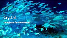  Presentation with coral reefs blue water beautiful sky - PPT layouts consisting of group coral fish in blue background and a teal colored foreground