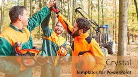  Presentation with timber harvest - Slides enhanced with group-forest-workers-celebrates background and a yellow colored foreground
