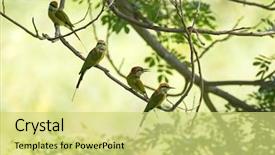  Presentation with yellow green - Beautiful slide deck featuring group of little green bee backdrop and a yellow colored foreground