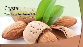  Presentation with almond - PPT theme featuring almonds - group of almond nuts background and a yellow colored foreground