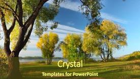  Presentation with tree sky trees green - Beautiful slides featuring group of autumn big trees backdrop and a tawny brown colored foreground