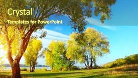  Presentation with meadow - PPT layouts featuring group of autumn trees standing background and a tawny brown colored foreground