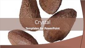  Presentation with brazil - PPT theme featuring group-of-brazil-nuts-isolated background and a tawny brown colored foreground