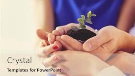  Presentation with business growing - Presentation theme featuring group-of-business-hands-holding background and a lemonade colored foreground