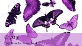 Presentation with butterflies - Colorful PPT theme enhanced with group-of-butterflies-isolated backdrop and a lilac colored foreground