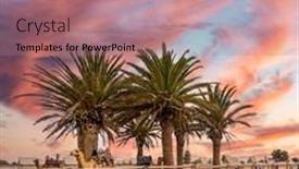  Presentation with oasis - Slide set having group-of-camels background and a coral colored foreground