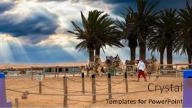  Presentation with oasis - PPT theme having group-of-camels background and a  colored foreground