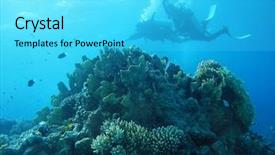  Presentation with coral - Presentation enhanced with group of coral fish background and a cyan colored foreground