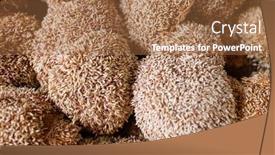  Presentation with seeds - Amazing presentation theme having group-of-dried-aiyu-seeds backdrop and a coral colored foreground