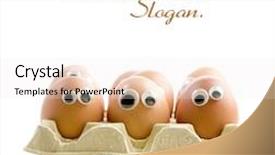  Presentation with eyes - Presentation design consisting of group-of-eggs background and a sky blue colored foreground