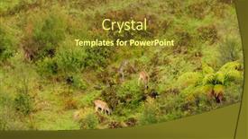  Presentation with deer - PPT theme featuring group-of-fallow-deer-dama background and a tawny brown colored foreground