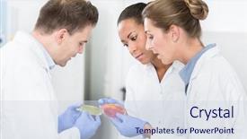  Presentation with laboratory food - Audience pleasing slide deck consisting of group of food laboratory researchers backdrop and a sky blue colored foreground