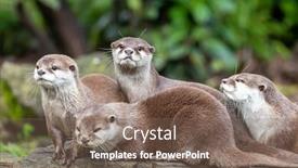  Presentation with green foliage - Slides consisting of group-of-four-attentive-oriental background and a violet colored foreground